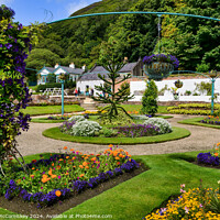 Buy canvas prints of Walled Garden at Kylemore Abbey, County Galway by Angus McComiskey