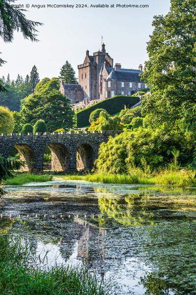Stone bridge and pond in Drummond Castle Gardens Picture Board by Angus McComiskey