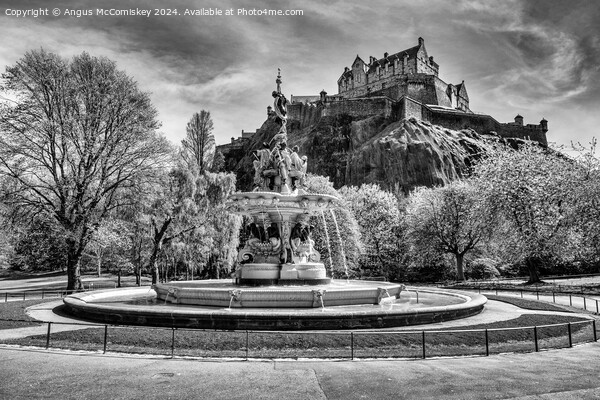 Ross Fountain and Edinburgh Castle in spring mono Picture Board by Angus McComiskey