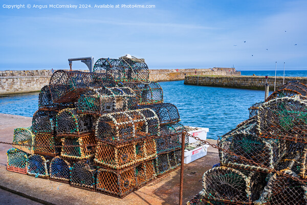 Lobster pots on quayside at St Andrews harbour Picture Board by Angus McComiskey