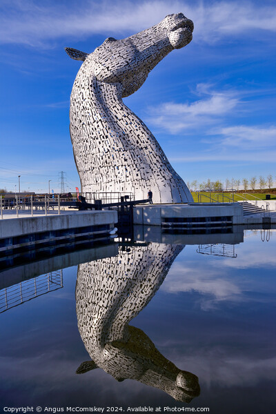 The Kelpies sculptures Helix Park, Falkirk Picture Board by Angus McComiskey