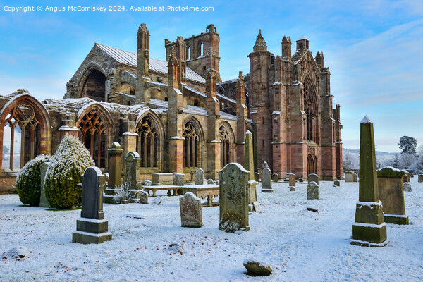 Ruins of Melrose Abbey in snow, Scottish Borders Picture Board by Angus McComiskey