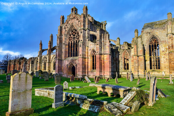 Ruins of Melrose Abbey, Scottish Borders Picture Board by Angus McComiskey