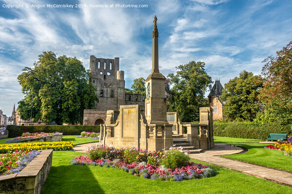 War Memorial and Kelso Abbey, Scottish Borders Picture Board by Angus McComiskey