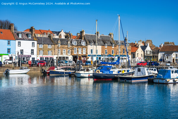 Boats moored in Anstruther harbour in Fife Picture Board by Angus McComiskey