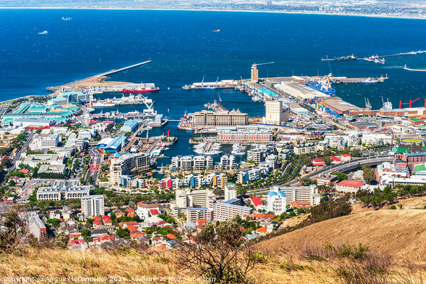 V&A Waterfront from Signal Hill, Cape Town Picture Board by Angus McComiskey
