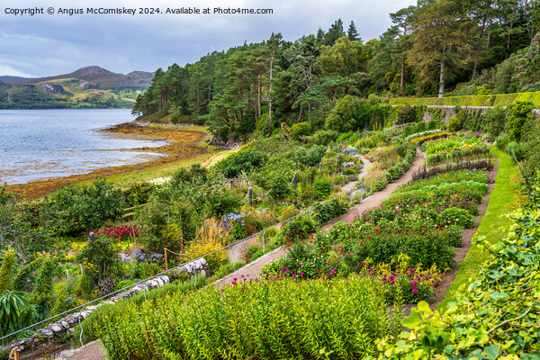 Loch Ewe and Inverewe Garden, Poolewe, Scotland Picture Board by Angus McComiskey