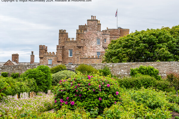 Castle of Mey in Caithness, Scotland Picture Board by Angus McComiskey