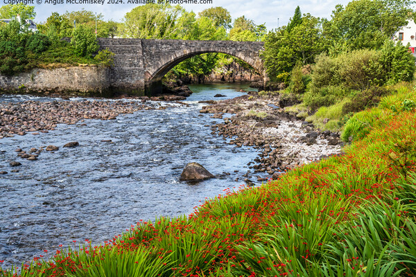 Old stone bridge on River Ewe at Poolewe, Scotland Picture Board by Angus McComiskey
