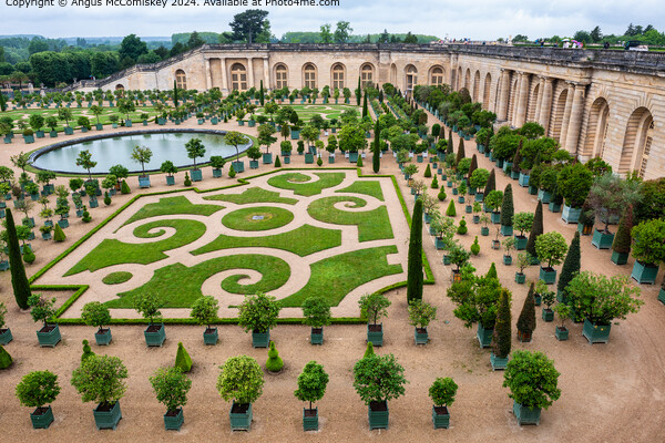 The Orangerie Palace of Versailles Gardens, France Picture Board by Angus McComiskey