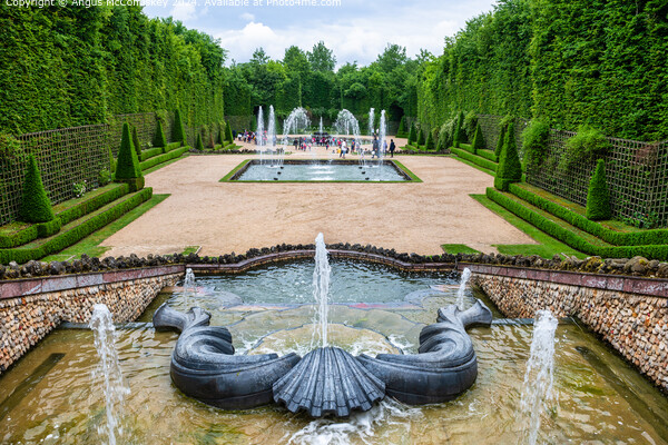 Grove of the Three Fountains, Palace of Versailles Picture Board by Angus McComiskey