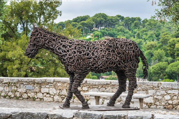 Lucky the Horse, St Paul de Vence, French Riviera Picture Board by Angus McComiskey