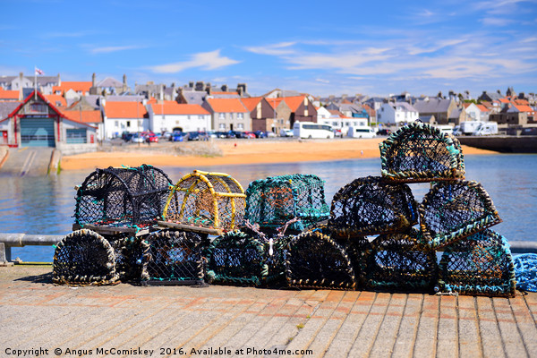Lobster pots on quayside at Anstruther Picture Board by Angus McComiskey