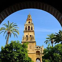 Buy canvas prints of Bell tower in Court of the Orange Trees by Angus McComiskey