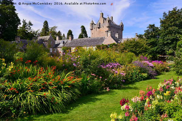 Cawdor Castle and flower garden Picture Board by Angus McComiskey