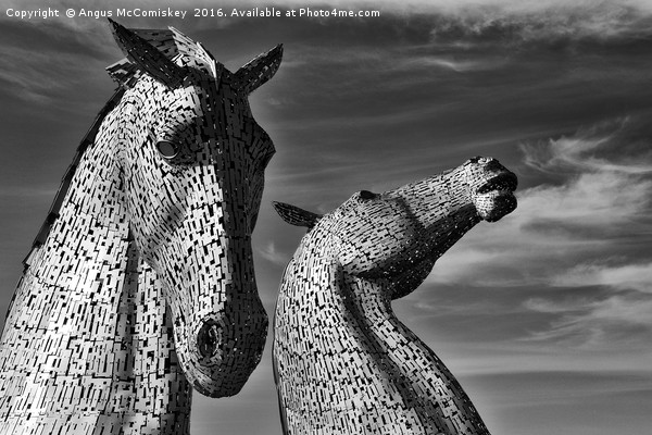 The Kelpies Falkirk black and white Picture Board by Angus McComiskey