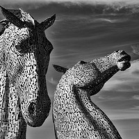 Buy canvas prints of The Kelpies Falkirk black and white by Angus McComiskey