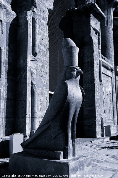 Granite statue of Horus at Edfu, Upper Egypt Picture Board by Angus McComiskey