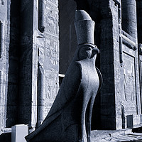 Buy canvas prints of Granite statue of Horus at Edfu, Upper Egypt by Angus McComiskey