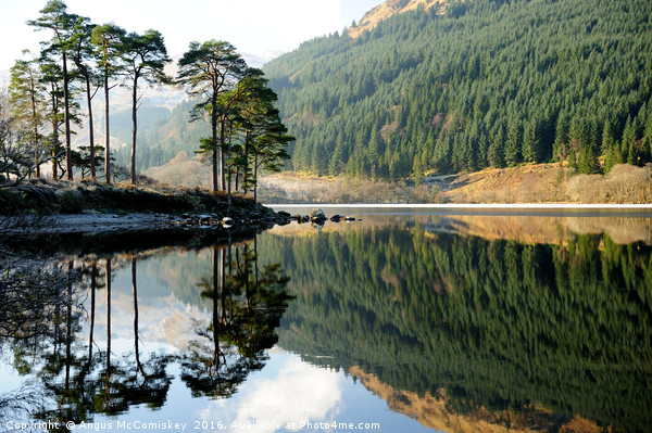 Winter reflections on Loch Eck Picture Board by Angus McComiskey