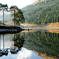 Buy canvas prints of Winter reflections on Loch Eck by Angus McComiskey