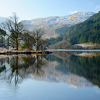 Buy canvas prints of Loch Eck winter reflections by Angus McComiskey