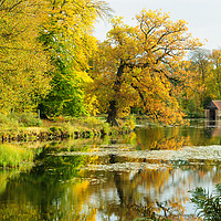 Buy canvas prints of Boathouse on Penicuik Pond  by Angus McComiskey