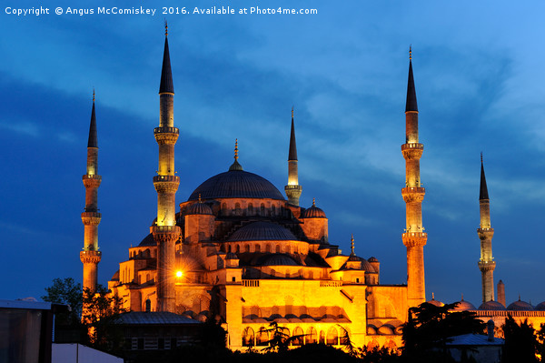 Blue Mosque at twilight Picture Board by Angus McComiskey