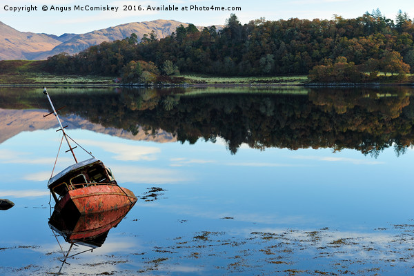 Sunken boat on Loch Etive Picture Board by Angus McComiskey