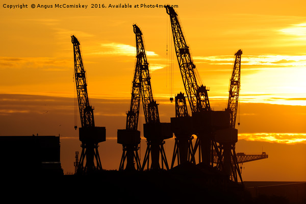Cranes on the River Clyde at sunset Picture Board by Angus McComiskey