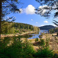 Buy canvas prints of Achray Forest Drive Trossachs by Angus McComiskey
