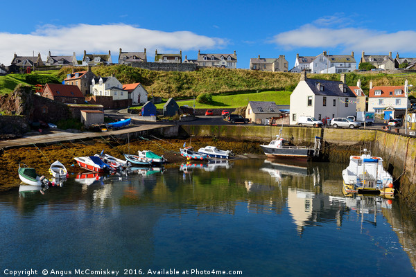 St Abbs harbour Picture Board by Angus McComiskey