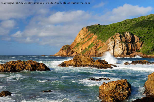 The Heads at Knysna South Africa Picture Board by Angus McComiskey