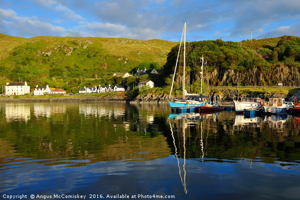 Yacht marina at Mallaig Picture Board by Angus McComiskey