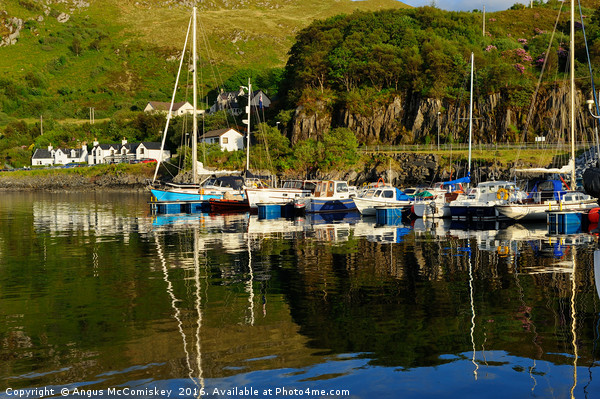 Colourful reflections of yacht marina at Mallaig Picture Board by Angus McComiskey
