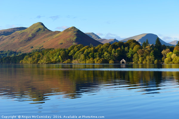 Early morning reflections Derwentwater / Catbells Picture Board by Angus McComiskey