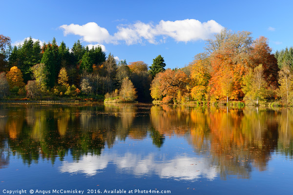 Penicuik Pond in autumn Picture Board by Angus McComiskey
