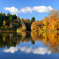 Buy canvas prints of Penicuik Pond in autumn by Angus McComiskey
