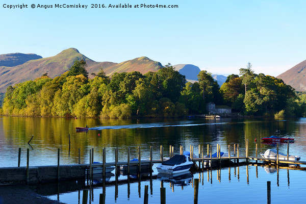 Derwent Isle from Keswick Pier Picture Board by Angus McComiskey