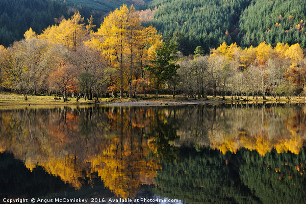 Loch Lubnaig autumn colours Picture Board by Angus McComiskey