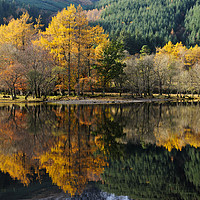 Buy canvas prints of Loch Lubnaig autumn colours by Angus McComiskey