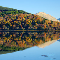 Buy canvas prints of Autumn reflections on Loch Fyne by Angus McComiskey