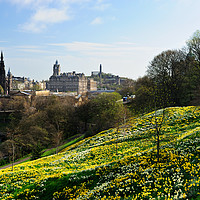 Buy canvas prints of Spring flowers in Princes Street Gardens by Angus McComiskey