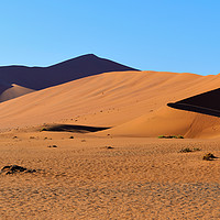 Buy canvas prints of Namib Desert by Angus McComiskey
