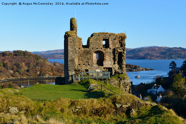 Ruins of Tarbert Castle in Argyll Picture Board by Angus McComiskey