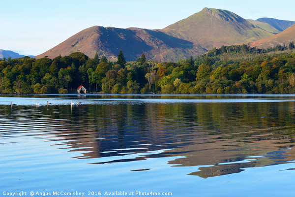 Derwentwater reflections with swans Picture Board by Angus McComiskey