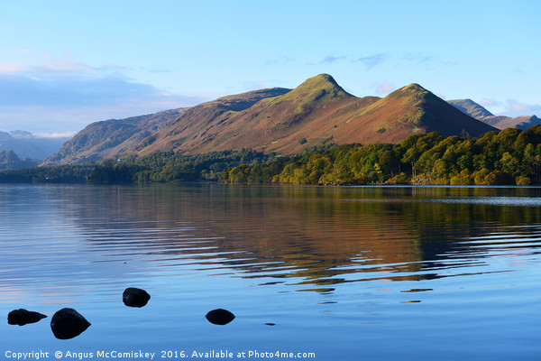 Derwentwater at daybreak Picture Board by Angus McComiskey