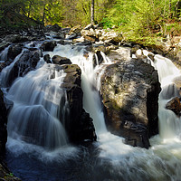 Buy canvas prints of Black Linn Waterfall in spring by Angus McComiskey