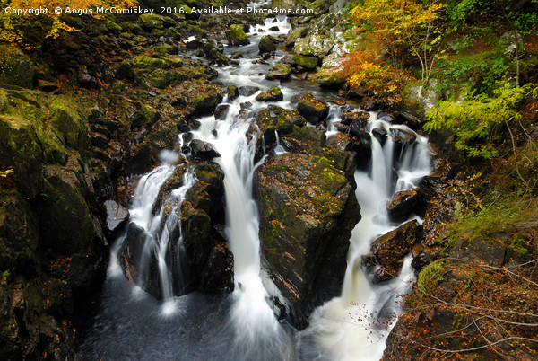 Black Linn Waterfall at the Hermitage in autumn Picture Board by Angus McComiskey