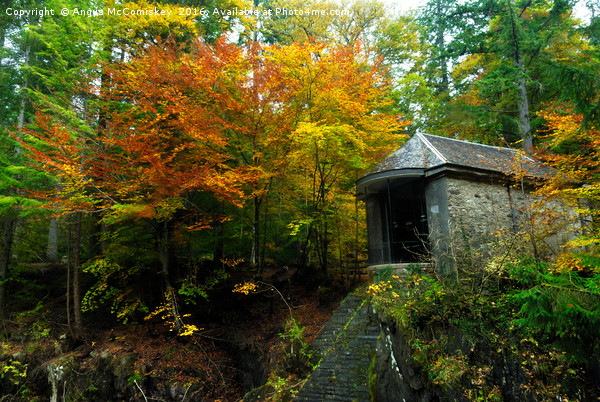 Ossian’s Hall at the Hermitage in autumn Picture Board by Angus McComiskey